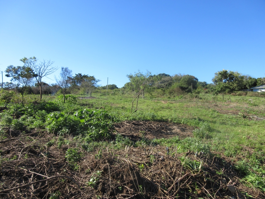 0 Bedroom Property for Sale in Bathurst Eastern Cape